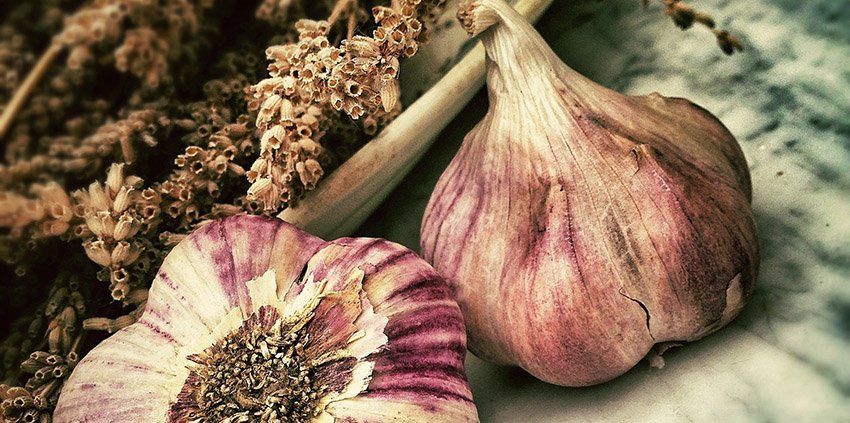 Cómo venderse con SEO Copywriting y Diseño Web sin repetirse como el ajoaceite