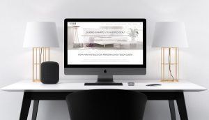 diseño web profesional