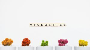 Microsite singular y atractivo