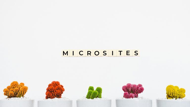 Microsite singular y atractivo