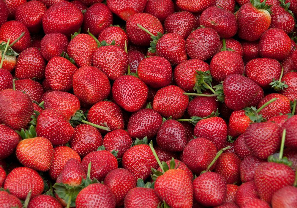 leads jugosos para tu negocio