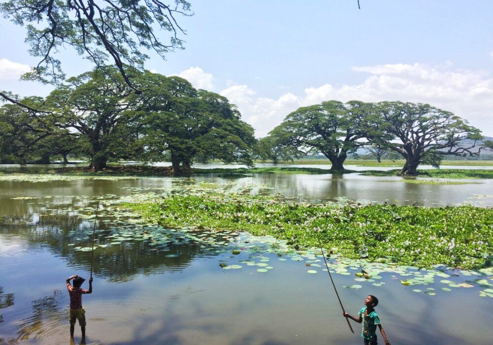 La historia detrás de Aloha Copy Pack: un cálido embudo de ventas.