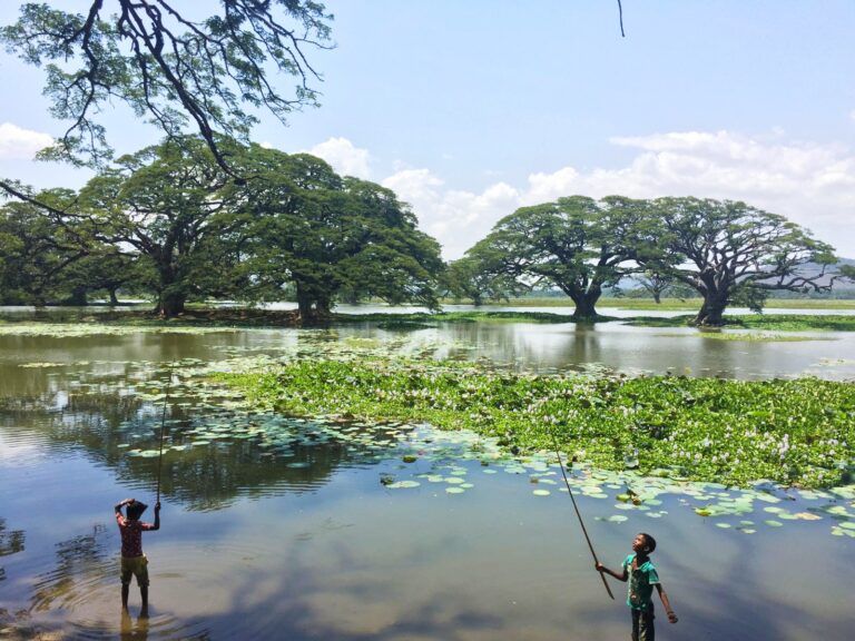 La historia detrás de Aloha Copy Pack: un cálido embudo de ventas.